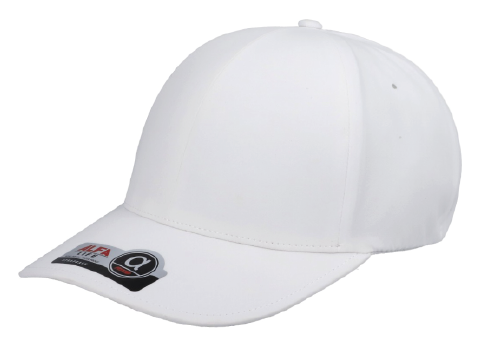 Gorra premium alfa life